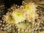 Chrysanthemums and pearls