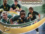 Springboks
