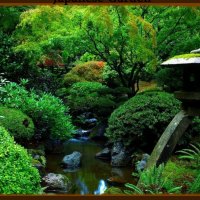 Japanese Garden 2