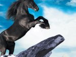 big black stallion