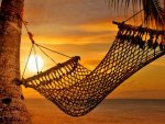 Hammock beach
