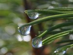 Waterdrops