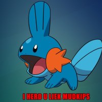I Herd U Liek Mudkips