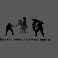 Ninjas Can't Catch You If...