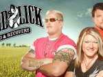 Lizard Lick Towing