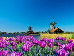 Beautiful Holland