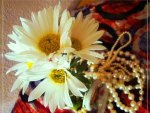 Daisies and pearls