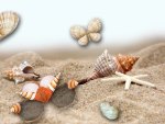 Sea Shells by the Sea