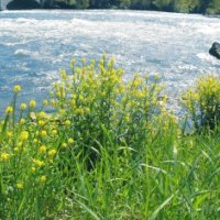 Rapid Water at Niagara Falls