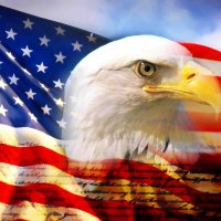 BALD HEADED EAGEL ON THE ANERICAN FLAG