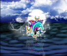 Magical Moon Dolphin