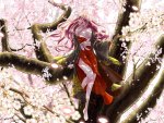 Luka and Sakura Tree