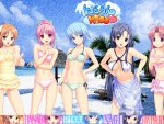 Swimsuits Tropical Kiss