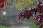 Cold Fall Rain