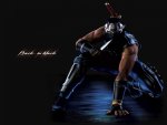 Ninja Gaiden