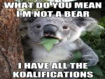 Koalifications!