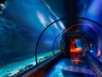 Underwater Tunnel