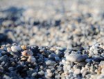 Pebbles