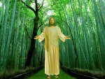 Bamboo Groves of God Handmade