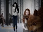 Bella & Renesmee & Wolf Pack