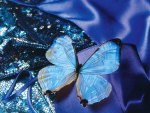 blue butterfly