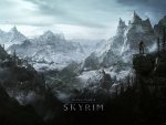 Skyrim Environment