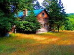 A Cabin in Baldwin Springs in HDR
