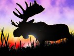 Moose Silhouette