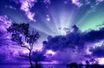 A Mystical Purple Night