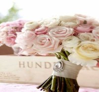 The Soft Whisper of Pink