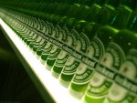 Heineken Anyone