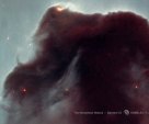 Horsehead Nebula