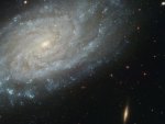 Spiral Galaxy NGC 3370
