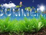 Summer