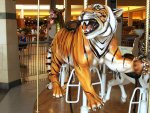 Carousel -- Orange Tiger
