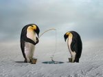 Fishing Penguins