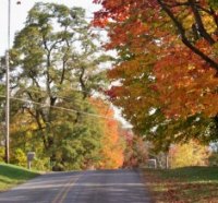 Fall in Ohio