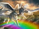 Rainbow dogs
