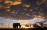 Africa Sunset