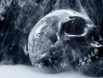Smoking Skull