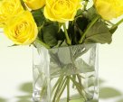 yellow roses