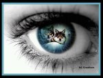 Eye Of Wolves