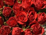 Red Roses