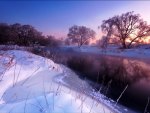 Purple Dawn Snow