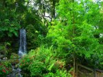 Waterfall among greenery