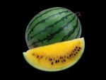 Cloning Melons...the pros and cons