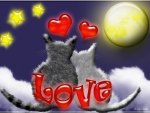 â™¥ Love Cats â™¥