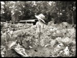 Boy in the Vegie Garden