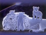 white lion family