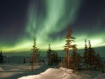 AURORA BOREAL